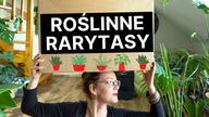 Nowe KOLEKCJONERSKIE rośliny domowe 