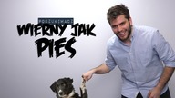 WIERNY JAK PIES | Poszukiwacz #384