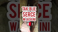 Tak Bije serce w Jaskini, jak człowiek utknie!   #jaskinia #caving #ciekawostki #ciasno #short