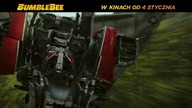 Bumblebee  spot 6 s. (1)