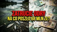 Kolejne zatrucie Odry znowu przed nami?