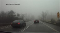 Pierwszy wariat nagrany w 2014 roku 