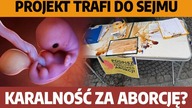 Stop aborcji trafi do Sejmu! Ile podpisów? Karalność zwiększy ochronę życia | K.  Uroda