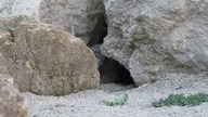 i see you!