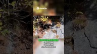 Magiczne jezioro i Huayna Picchu Widoki, które zapierają dech!
