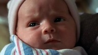 (1x04) Maternity. xbus