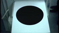 The Black Hole