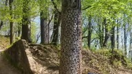 Relive Trasa; Jelenia Góra Sudecka Droga #relive