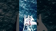 Why we chose a fast sailboat? #shorts #sailing #trimaran