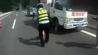 Dziesiątki świń na autostradzie  Policja miała sporo pracy   