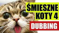 ŚMIESZNE KOTY 4 ❤️ DUBBING: MATT OLECH