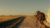 Johannes. Paasukese. Toeline. Elu. 2019. INTERNAL. 720p. WEBRip. x264. AAC-[YTS. BZ]