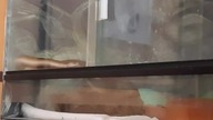 Suddenly, my lazy African Housesnake went active LOL