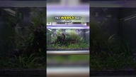 Jak świecą lampy Invital? Różnice w mocy