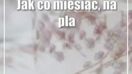 Świdnik: Zajrzyj na sobotni Targ Staroci