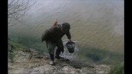 Bołdyn (1981)