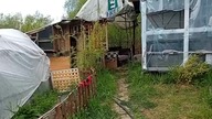 Gołębnik za 350 zł dla około 40 sztuk gołębi pocztowych.