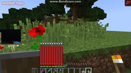 nasionka i drewno 5 (1413)