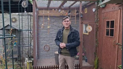 Kanarki w wolierze * wypuściłem kanarki z klatek 23. 03. 2026 #canary