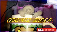 Odc. 412- Zioła.  (Krótki filmik) Mięta, pieprzowa,cytrynowa,pomarańczowa,werbena cytrynowa itp.  CDN