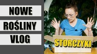 Moje Nowe ROŚLINY domowe STORCZYKI botaniczne VLOG