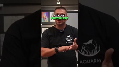 Klejenie Hardscape i Roślin Poradnik Akwarysty