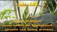 ®Odc-498-Canna Stuttgart uprawa, nowy nawóz dla egzotyków, (przelot nad farmą dronem)