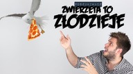 ZWIERZĘTA TO ZŁODZIEJE | Poszukiwacz #305