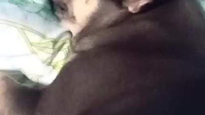 449d8402-820d-426d-a21a-5f12ab28dcc2