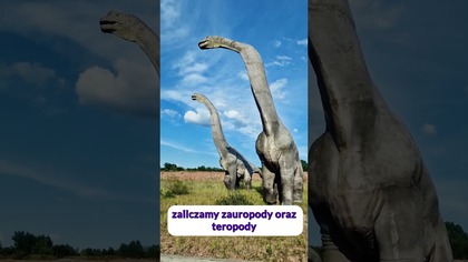 Dlaczego ptaki mają gadzią miednicę? #dinozaury