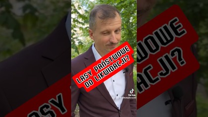 LASY PAŃSTWOWE DO LIKWIDACJI?