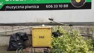 Muzyczna Piwnica | Sklepy z płytami w Gdańsku | #płytohunt #11 #shorts