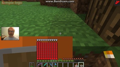 nasionka i drewno 9 (1417)