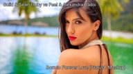 Solis & Sean Truby vs Feel & Alexandra Badoi - Born to Forever Love (StatusC Mashup)