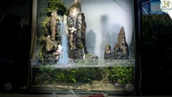 Wodospad w paludarium - Magiczna Kraina.  #akwarium #terrarium