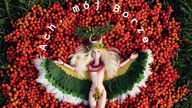 Same Suki - Rekompensata / album Ach, mój Borze
