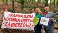Skandaliczna wycinka drzew Zabierzowie pod Krakowem