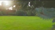 funfilm funny squirrel smieszna wiewiorka
