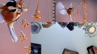 Horoskop na weekend Jaki ten weekend będzie dla każdego znaku zodiaku   