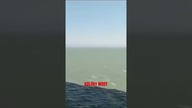 Najdziwniejsza Granica na Świecie #shorts #tiktok #viral #dc #foryou #ciekawostki #ciekawe