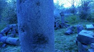 SGA. S04E08 [BluRay. 1080p. x264. V2. AC3-LTN][Lektor PL][Alusia]