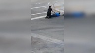 LiveLeak - Miami officer accidentally using Taser on his partner while arresting crackhead