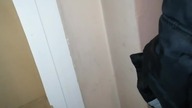 2020-04-03 Księga Ulicy mówi jasno: Lepszy gołąb na gzymsie, niż kupa w zagajniku.