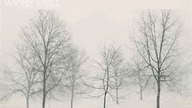 Jakub Nox Ambroziak - Winter Triall