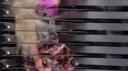 Barbie Girl vs Bread Slicer  Will She Survive? #Barbie #BarbieGirl #BreadSlicer