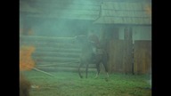 Janosik Odcinek - 13 Zdrada