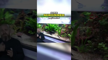 Jak przedłużyć życie zraszaczy w akwarium!