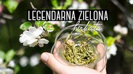 Anji Bai Cha - legendarna zielona herbata o białych liściach. Czajnikowy.pl