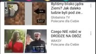 Momo w lesie na pewno