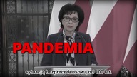 koronawirus a pis
